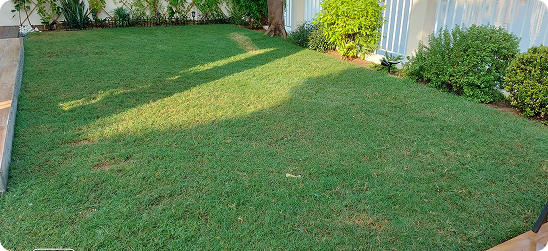 Beautiful lawn and house entry